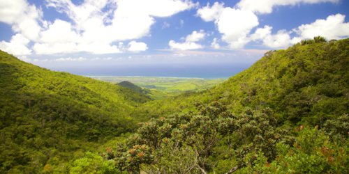 Black River Gorges National Park