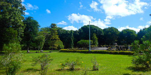 Pamplemousses Botanical Gardens