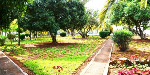 Pamplemousses Botanical Gardens