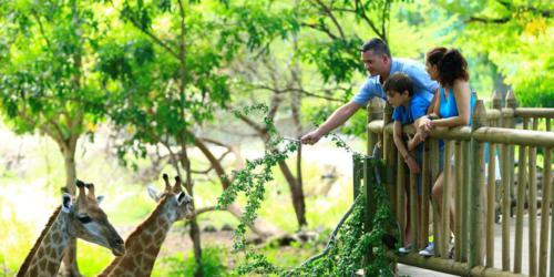 Casela Park Mauritius