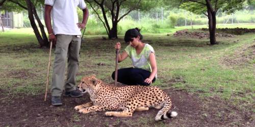 Casela Park Mauritius