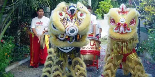 Chinese New Year 