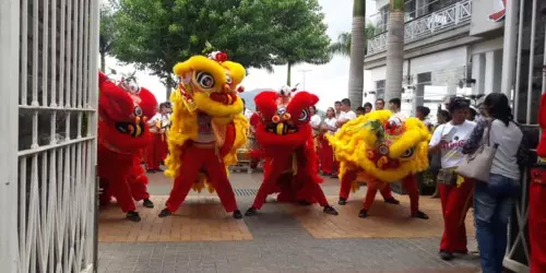 Chinese New Year 