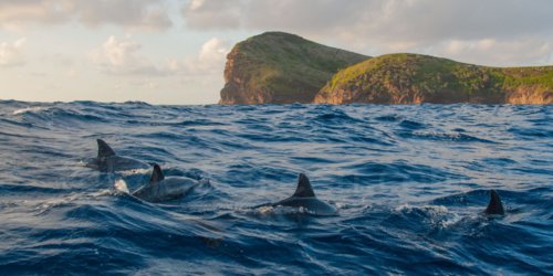 Coin de Mire (Gunners Quoin)