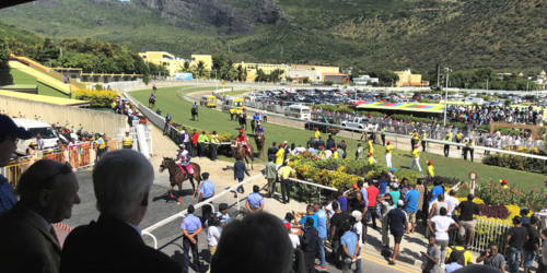 Courses de chevaux, Champ de Mars à Port Louis