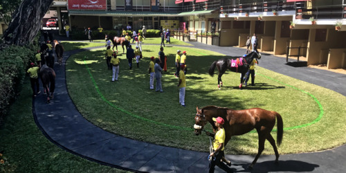 The Champ de Mars Racecourse - Port Louis