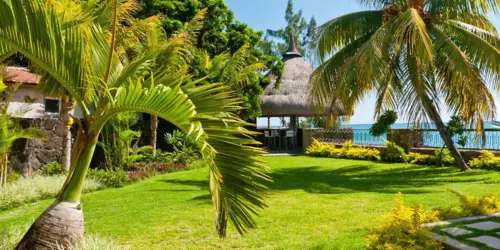 Services de jardinage - ile Maurice