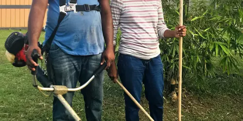 Services de jardinage - ile Maurice