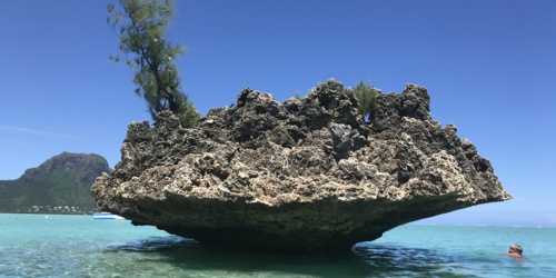 Crystal Rock, Ile aux Benitiers
