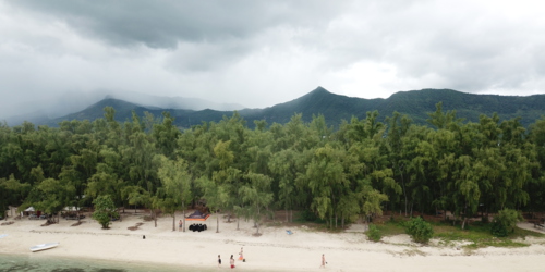 L'île Aux Bénitiers
