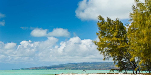 île aux Cocos - Rodrigues