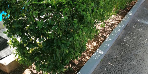 Imagine Gardens Landscape Company