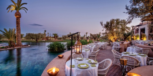 Royal Palm Beachcomber